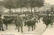 carte postale dinan