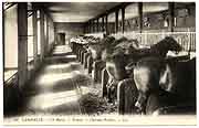 carte postale cotes d'armor