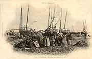 carte postale cancale