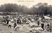 carte postale rue rennes
