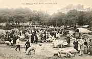 carte postale divers rennes