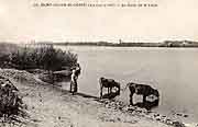 carte postale saint-julien de concelles