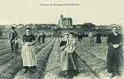 carte postale vieillevigne