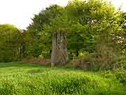 menhir de kerivoa bourbriac