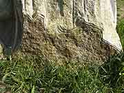 carnoet vallee des saints