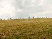 carnoet vallee des saints