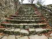 escalier vers etang chatelaudren