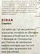 dinan chapelle des benedictines