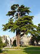 dinan puits place des merciers