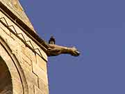 eglise saint-lezin dolo