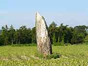 menhir saint-thebault langast