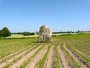 menhir saint-thebault langast