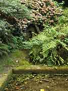 fontaine saint-theo le bodeo