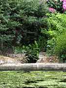 fontaine saint-theo le bodeo