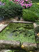 fontaine saint-theo le bodeo