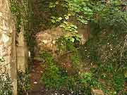 le foeil chateau de crenan