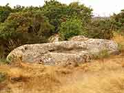 site de crokelien baignoire de margot le gouray