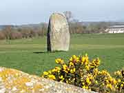 menhir et allee couverte de boturo le vieux-bourg