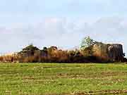 menhir et allee couverte de boturo le vieux-bourg