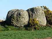 menhir et allee couverte de boturo le vieux-bourg