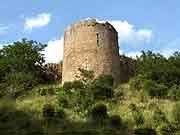 lehon