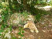 allee couverte pres du menhir de la chaise a margot meslin