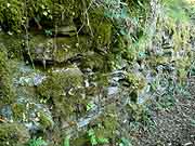 paule eglise sainte-paule