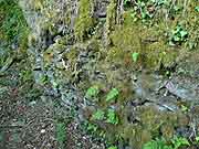 paule eglise sainte-paule