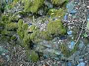 paule eglise sainte-paule