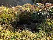 plehedel monument aux morts