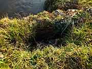 plehedel monument aux morts