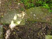 fontaine des vertus plerneuf