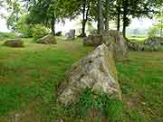 pleslin-trigavou alignements du cimetiere des druides ou du champ des roches