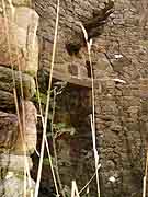 moulin a vent d'hercouet plevenon