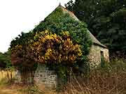 chapelle des seignaux plouvara