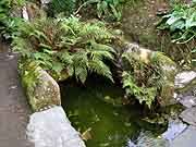 fontaine du bourg saint-gilles vieux marche