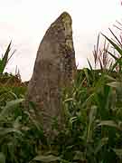 menhir de la ville chevalier saint-jacut du mene