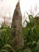 menhir de la ville chevalier saint-jacut du mene