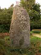 menhir a l'ouest de perfaux saint-vran