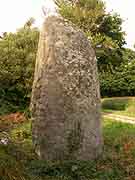 menhir a l'ouest de perfaux saint-vran