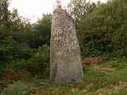 menhir a l'ouest de perfaux saint-vran