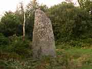 menhir a l'ouest de perfaux saint-vran