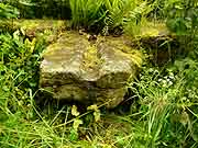 taden fontaine guillaume