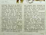 modele