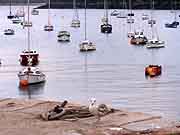 port de douarnenez