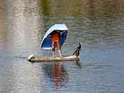 landerneau curiosite