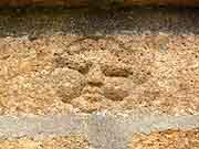 landerneau vieux landerneau auberge des treize lunes place saint-thomas