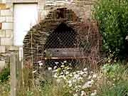 moulin a vent de tru la chapelle de brain