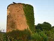 petit moulin a vent de la grees renac