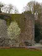 le loroux bottereau moulin a vent du pe avec son christ